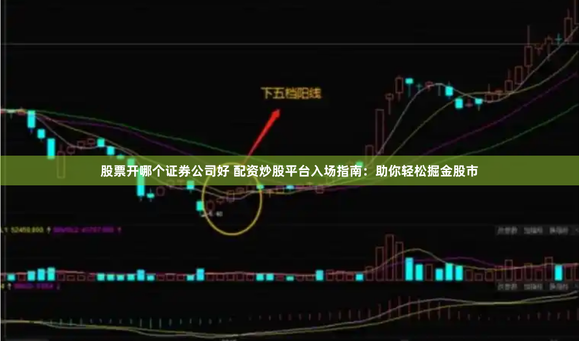 股票开哪个证券公司好 配资炒股平台入场指南：助你轻松掘金股市